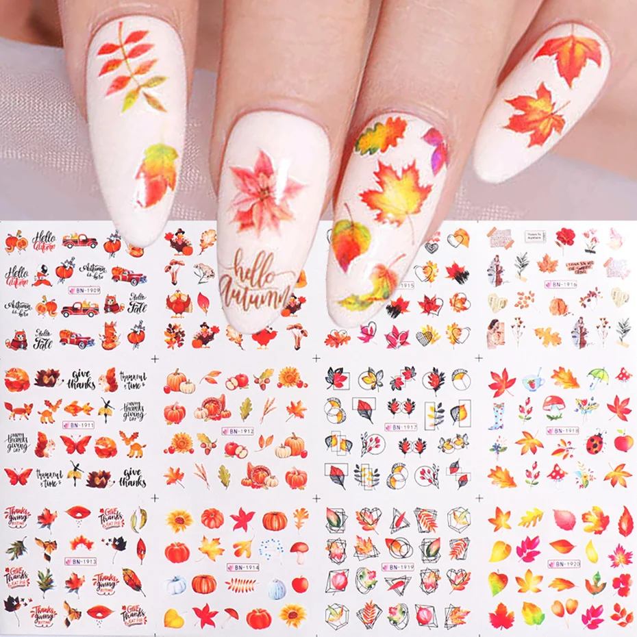 images slider number - 11
