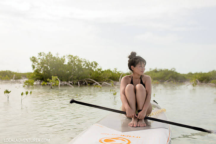 Stand Up Paddle Boarding through the Mangroves with Big Blue Unlimited (Best Things to Do in Turks and Caicos).
