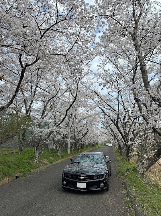 の投稿画像1枚目