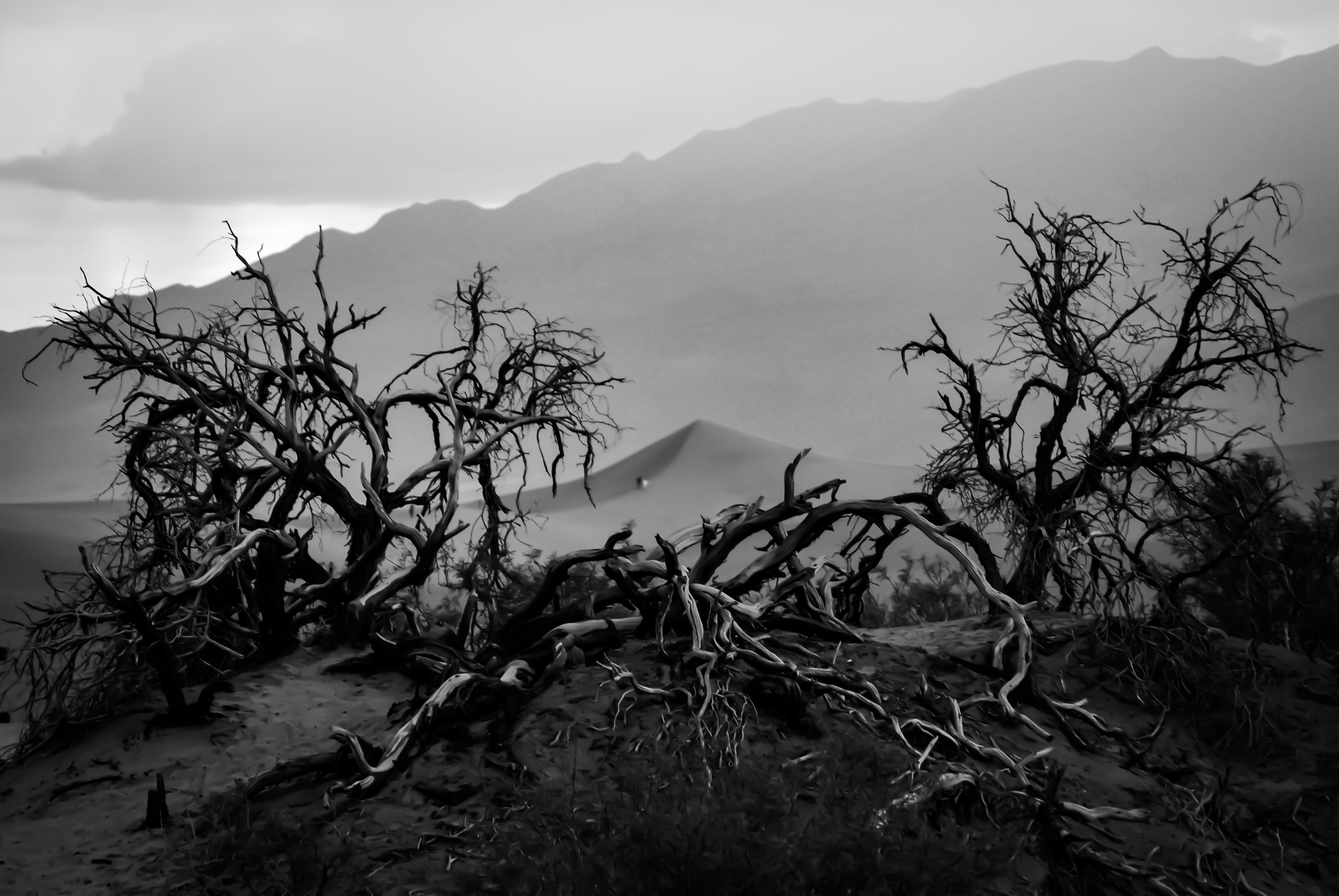 Desolation di ph. Manuela Condelli