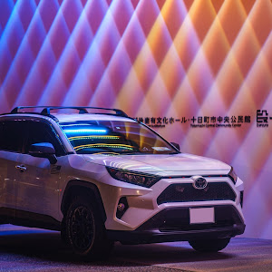 RAV4 MXAA54