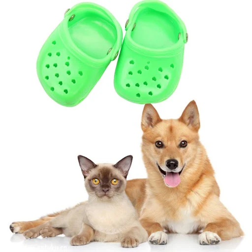 images slider number - 5