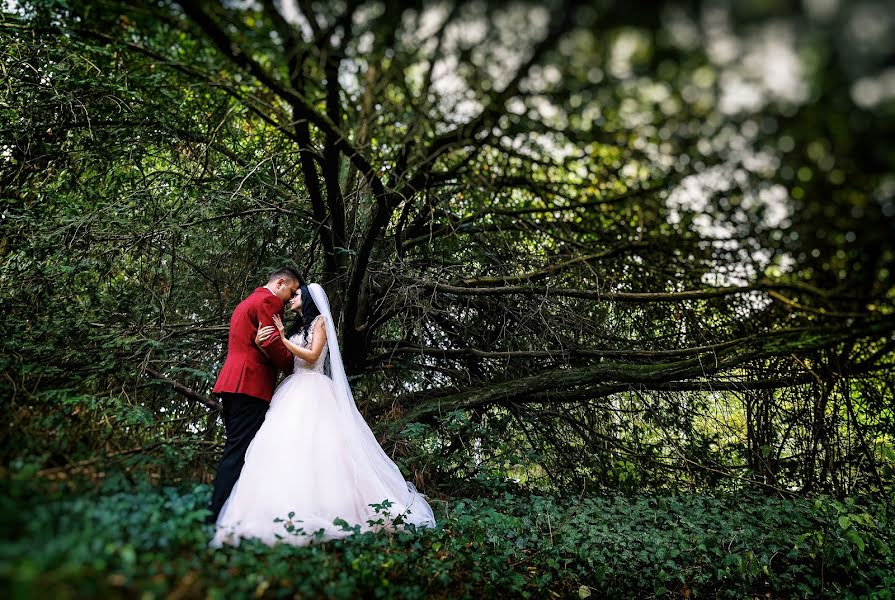 Fotógrafo de bodas Madalin Ciortea (dreamartevents). Foto del 9 de noviembre 2017