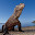 Komodo Dragon Wallpapers and New Tab