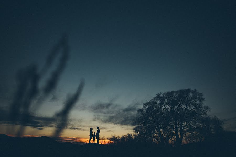 Fotógrafo de bodas Sergey Tereschenko (tereshenko). Foto del 29 de noviembre 2014