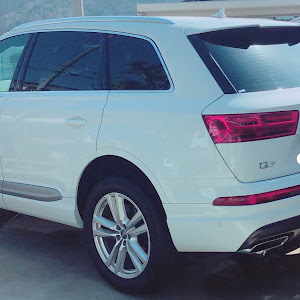 Q7