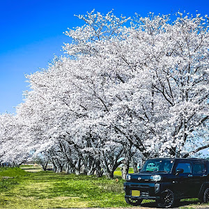 タフト LA900S