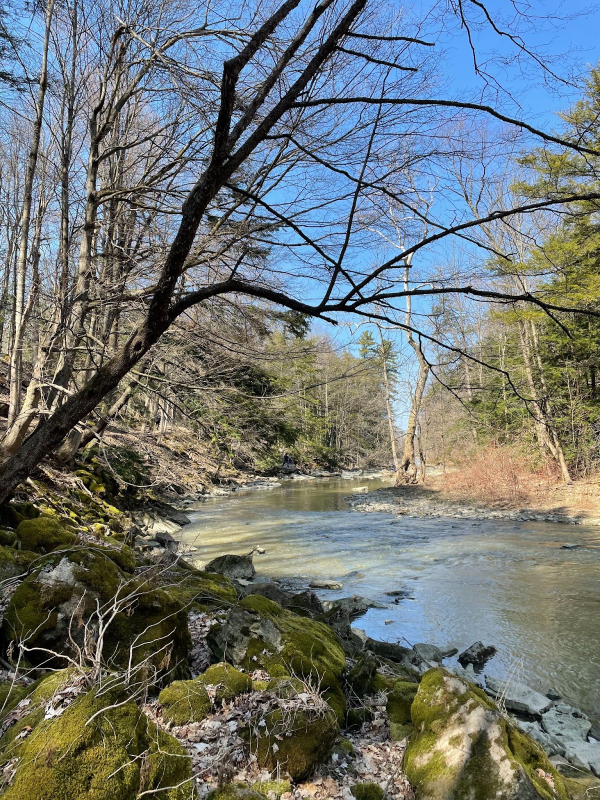 balls falls conservation area