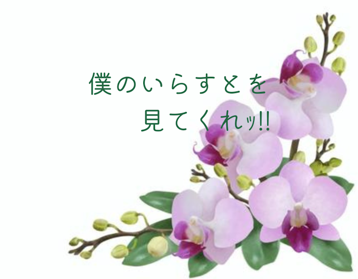 「僕のいらすとを見てくれｯ！」のメインビジュアル