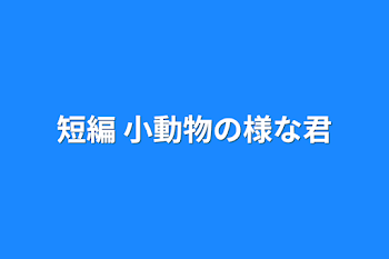 短篇集 (文スト)