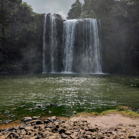 Whangarei Falls Northland