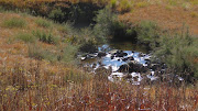 The Verloren Vallei Ramsar site lies adjacent to the new Ramsar-proclaimed Die Berg Nature Reserve in Mpumalanga.