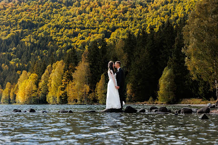 Fotografo di matrimoni Alex Bejan (alexbejan). Foto del 31 ottobre 2023