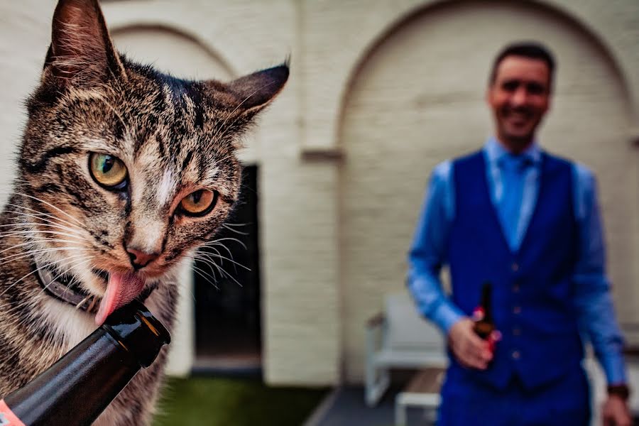 Fotografo di matrimoni Kristof Claeys (kristofclaeys). Foto del 10 settembre 2019