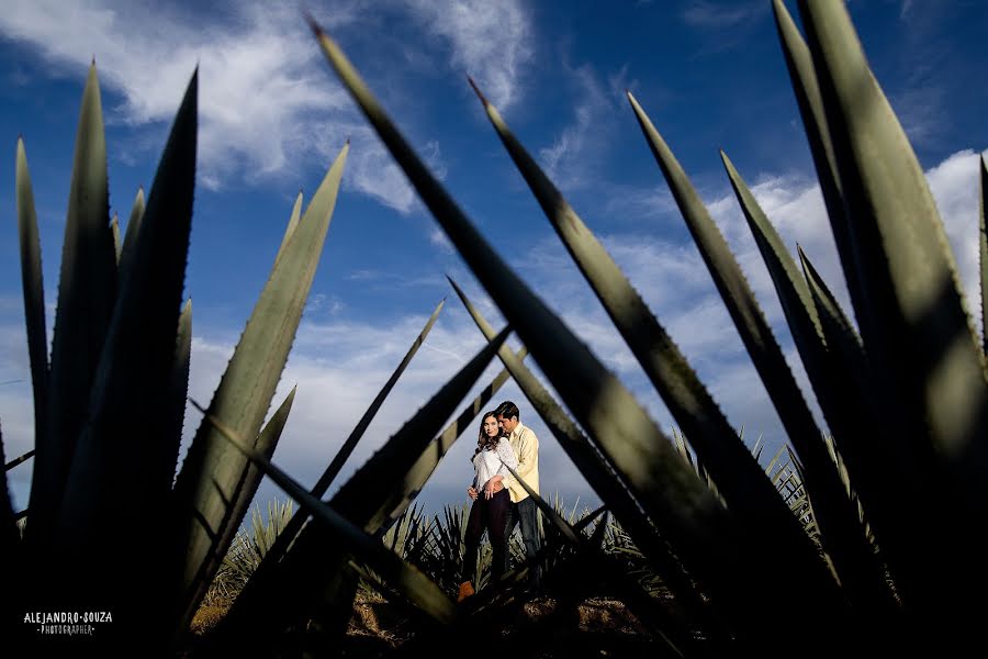 Fotografo di matrimoni Alejandro Souza (alejandrosouza). Foto del 8 marzo 2019