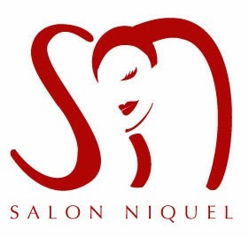 Salon Niquel Co logo