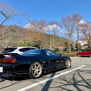 NSX NA1