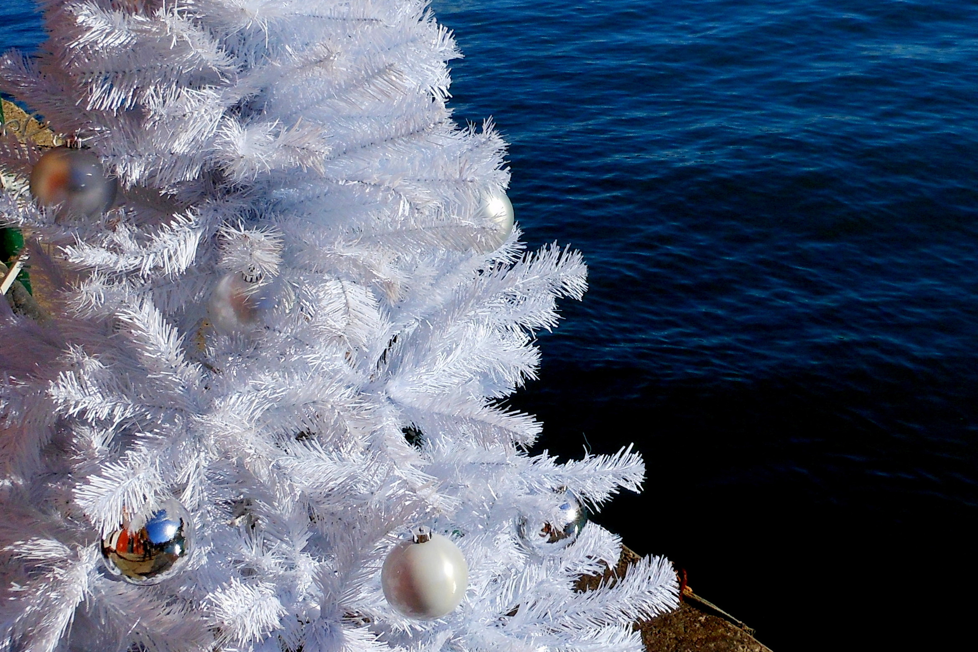 bianco natale di provenza