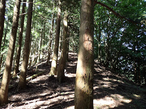 コスマ山へ登る