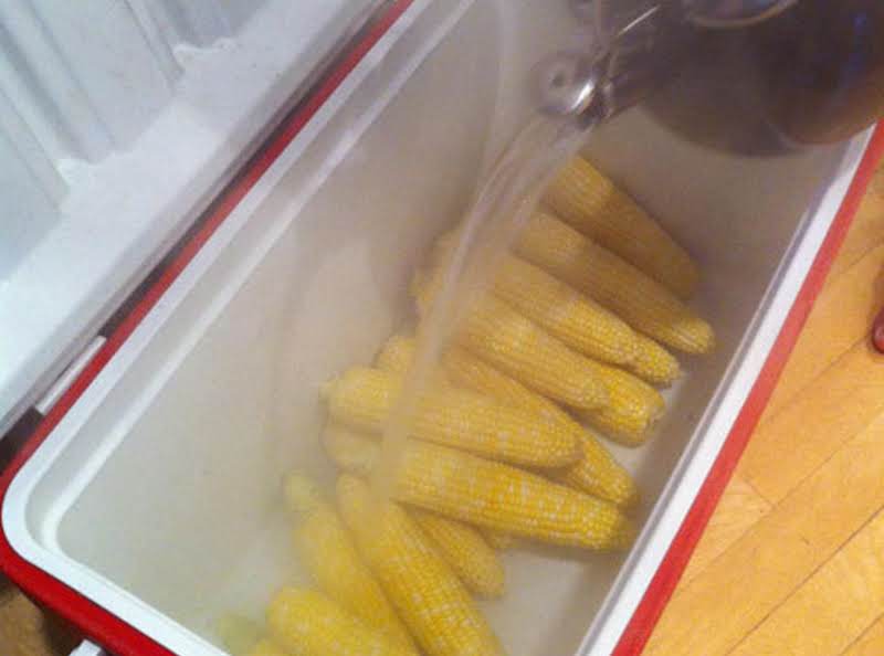 Your Cold Cooler  Warm Picnic Cooked  Corn