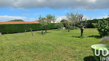 terrain à Saint-Georges-d'Oléron (17)