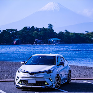 C-HR ZYX10