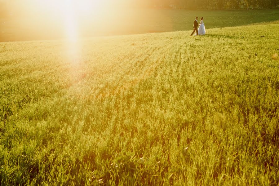 Fotografo di matrimoni Andrey Fomin (andreifomin). Foto del 7 dicembre 2020