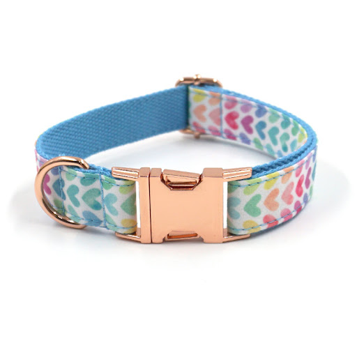 Title 6, Dog collar with leash and bow, offering style a...
