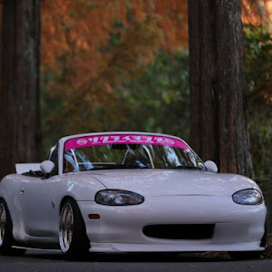 ロードスター NB8C