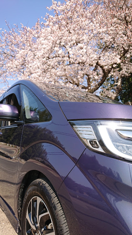 ステップワゴンの洗車・デートに関するカスタム事例の投稿画像2枚目