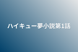 ハイキュー夢小説第1話