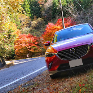 CX-3 DK5FW