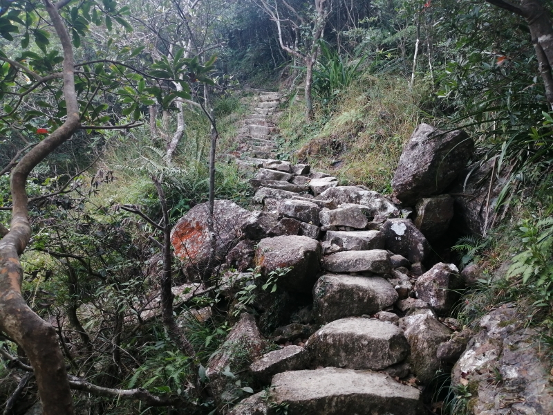 大東山黃龍坑