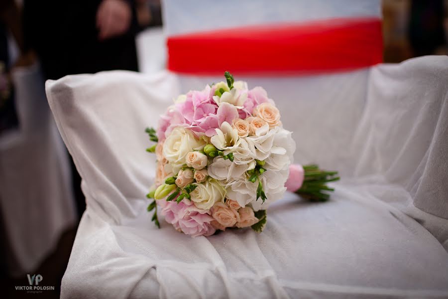 婚礼摄影师Viktor Polosin（viktorpolosin）。2014 11月16日的照片