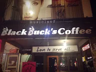 Black Buck's Coffee photo 7