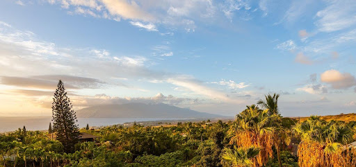 Maison avec jardin 3