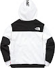 supreme tnf steep tech hooded sweatshirt white