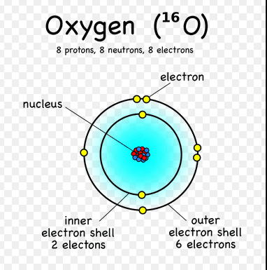 oxygen atom 2 inner