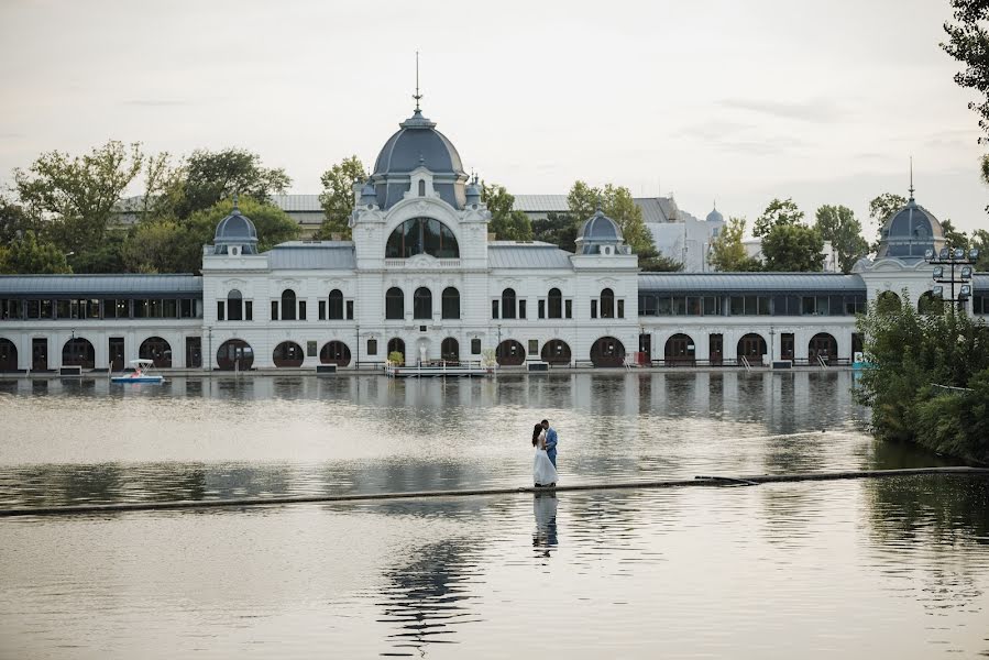 Fotografo di matrimoni Károlyi István (karolyifoto). Foto del 28 agosto 2022