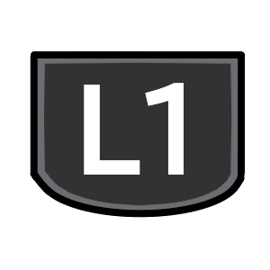 L1