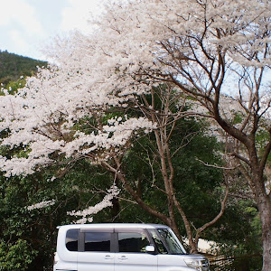 タントカスタム LA600S