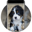 Télécharger cute puppy pet theme emotion life pets Installaller Dernier APK téléchargeur