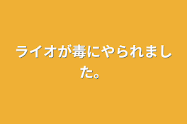 ライオが毒にやられました。