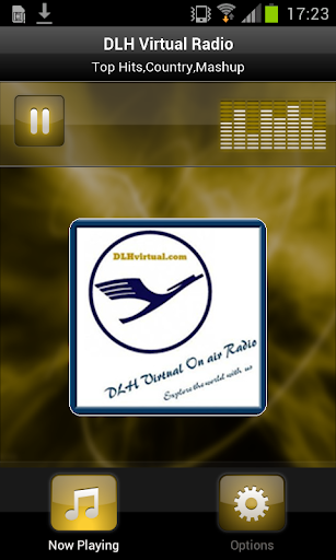 DLH Virtual Radio