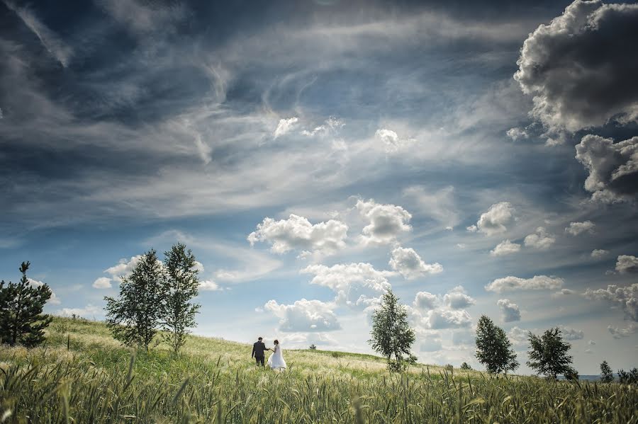 Pulmafotograaf Artem Lavrentev (artemfoto). Foto tehtud 27 juuli 2017