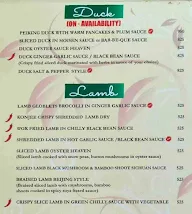 The Golden Dragon menu 1