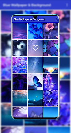 Blue Wallpaper  Background