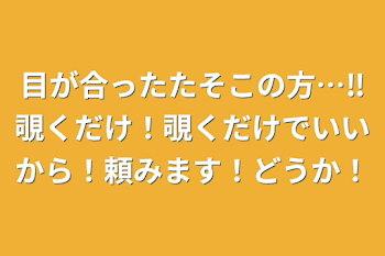 目が合ったたそこの方…‼︎覗くだけ！覗くだけでいいから！頼みます！どうか！