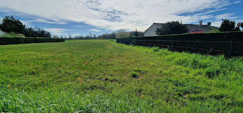 terrain à Neuvic (24)