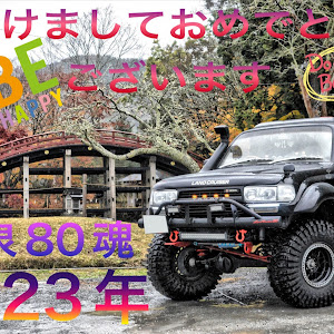 ランドクルーザー80 FZJ80G